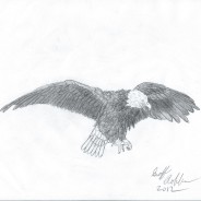 Eagle Landing