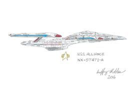 The Starship Alliance